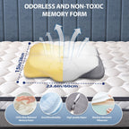 The Original - Ergonomic Contour Deep Relief Butterfly Pillow